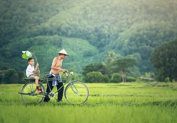 回歸鄉(xiāng)村，方知幸福 【輕鋼別墅】(圖5)
