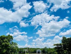 海南：放寬社會資本進入農(nóng)村的限制！中國大農(nóng)場時代來臨？