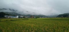 “梅雨季”看輕鋼別墅如何抵御南方的霉雨天？會生銹？不可能！