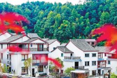2021年杭州計(jì)劃新開(kāi)工裝配式農(nóng)房4.3萬(wàn)㎡，大約完成6000戶的農(nóng)房建設(shè)！