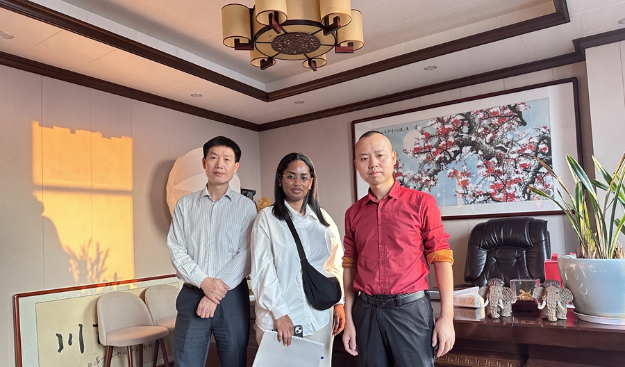 輕鋼別墅業(yè)主可以自己做內裝修嗎？